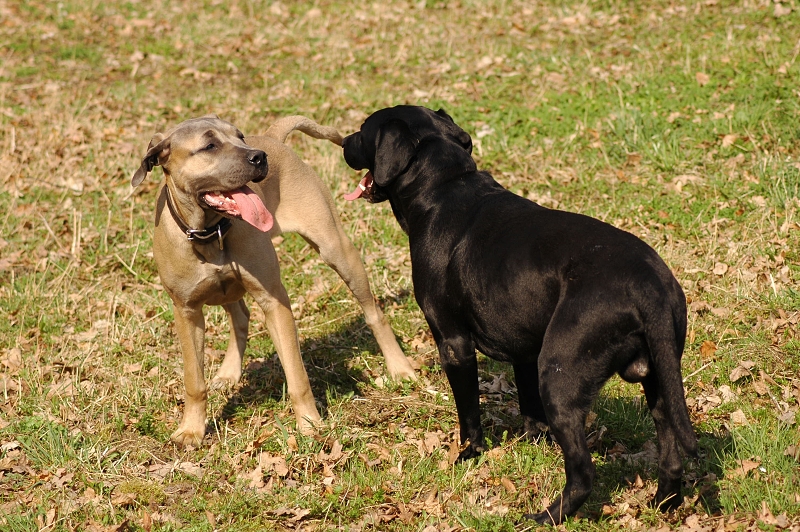 DSC_4908.jpg