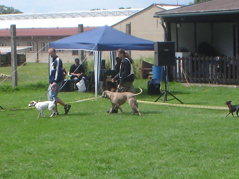 dsc05411a