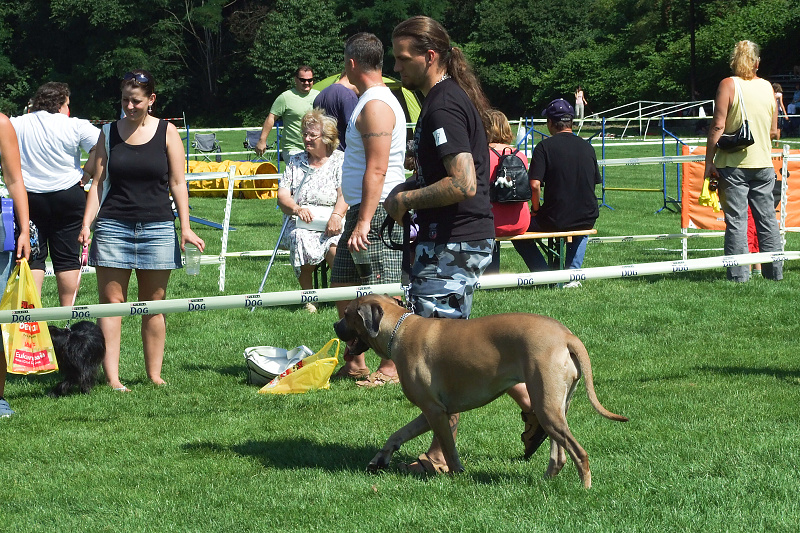 dscf2971