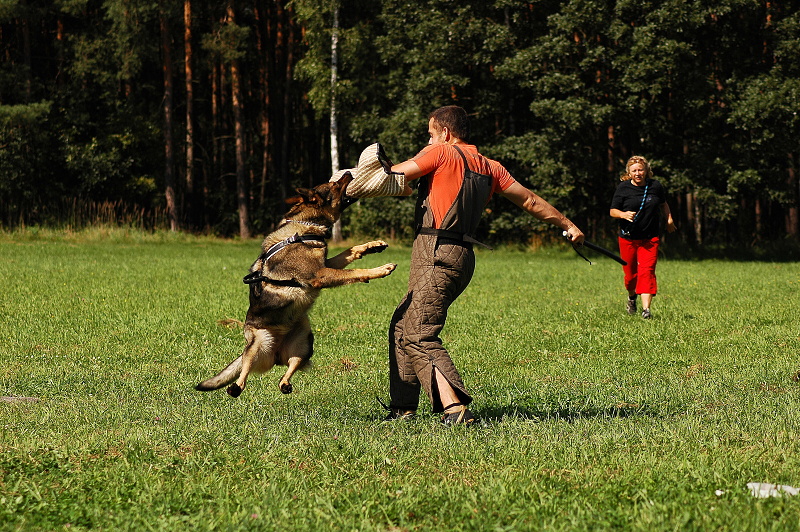 DSC_6046.JPG